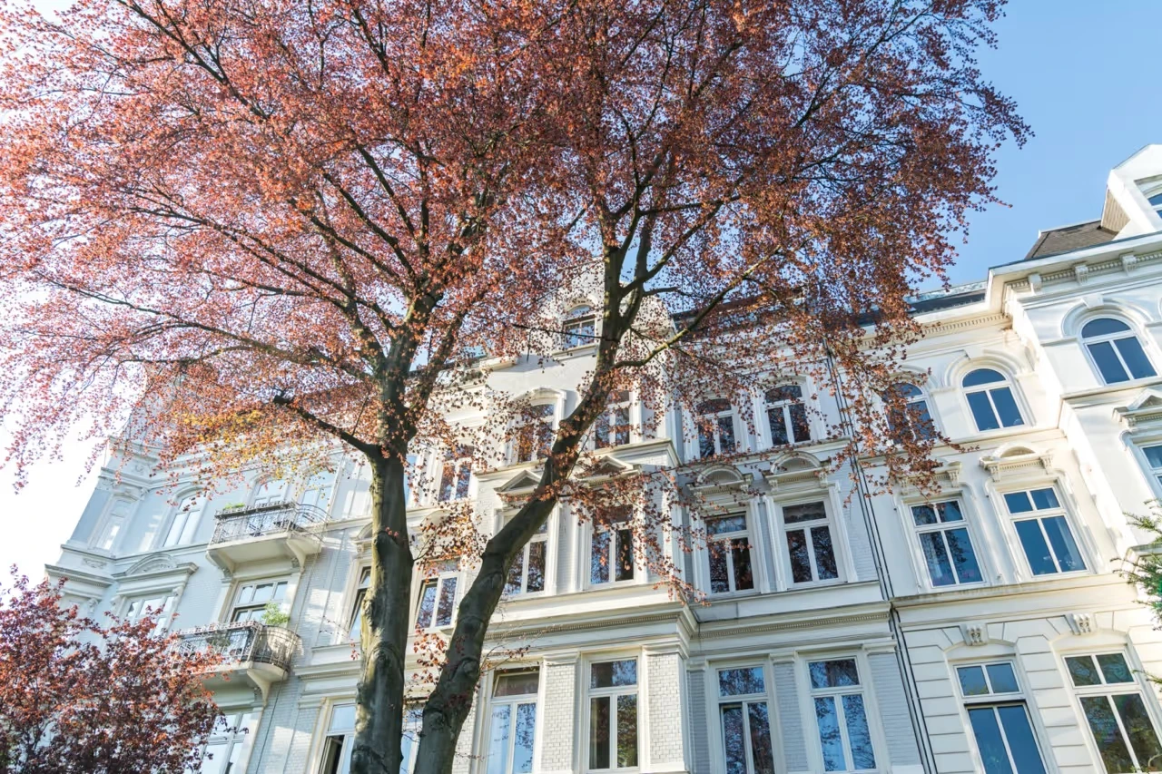 LUBA Immobilien UG – Immobilien – Großer Baum mit roten Blättern vor einem weißen Hochhaus unter klarem, blauem Himmel